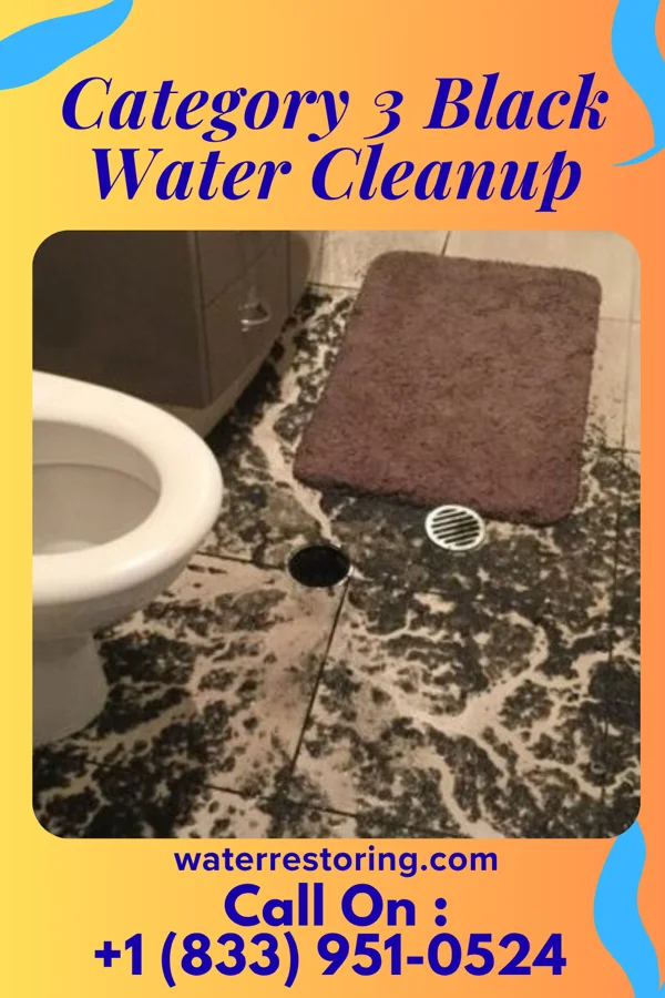 Category 3 Black Water Cleanup in Kings Valley, OR